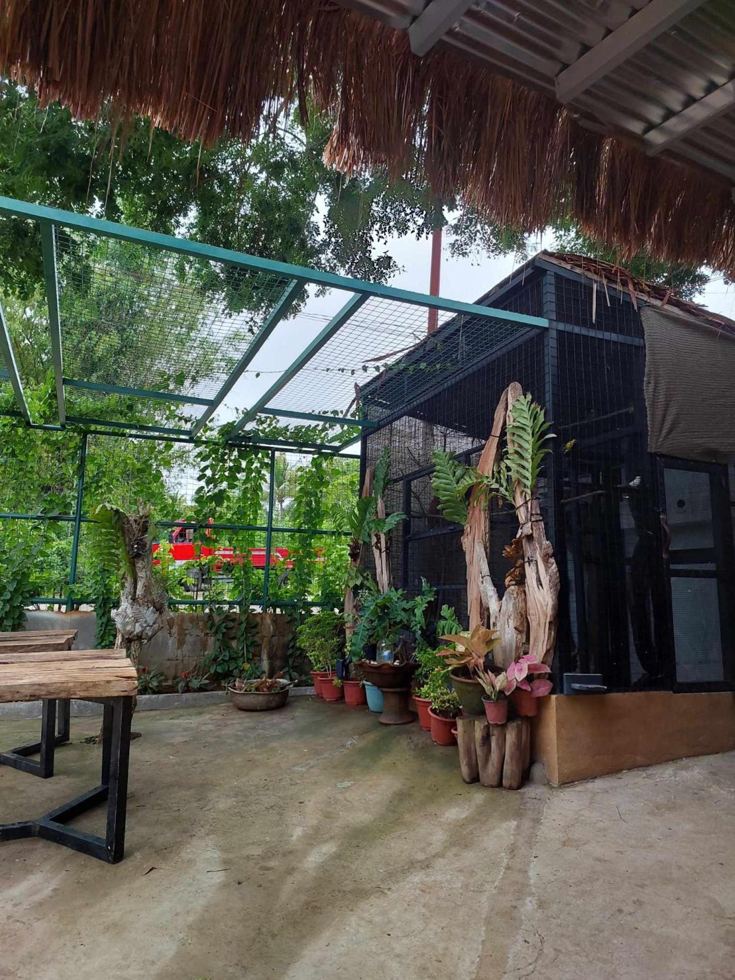 Vikings Ecolodge San Juan  Dış mekan fotoğraf